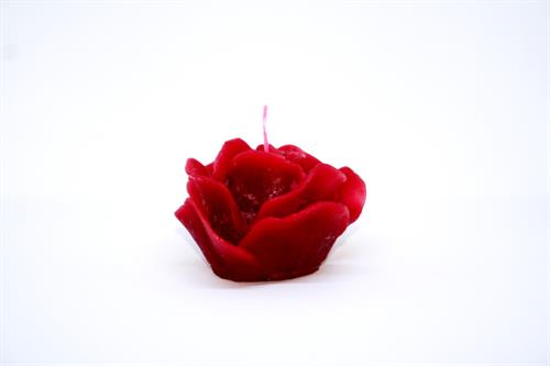 Rød Rose